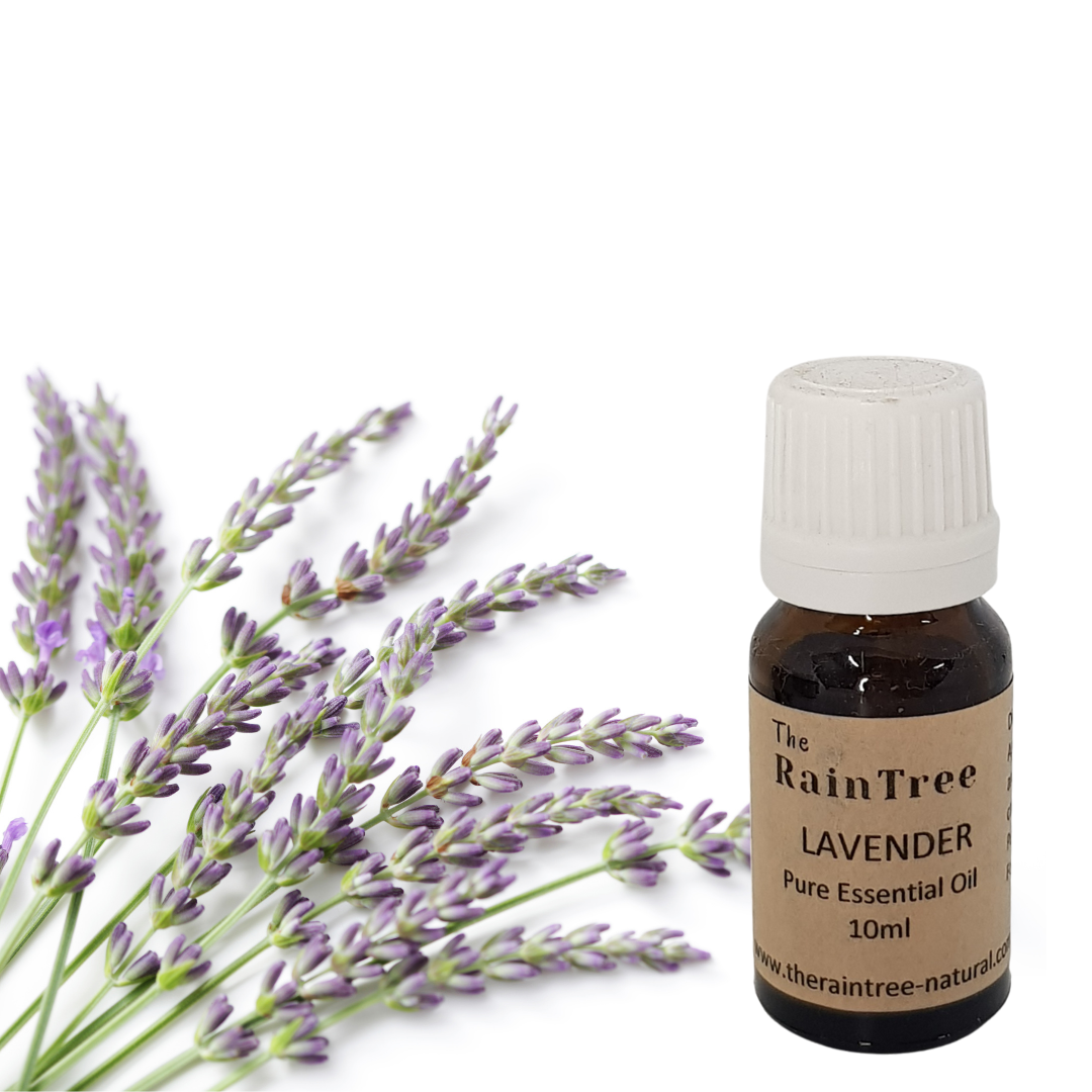 Lavender Essential Oil The RainTree