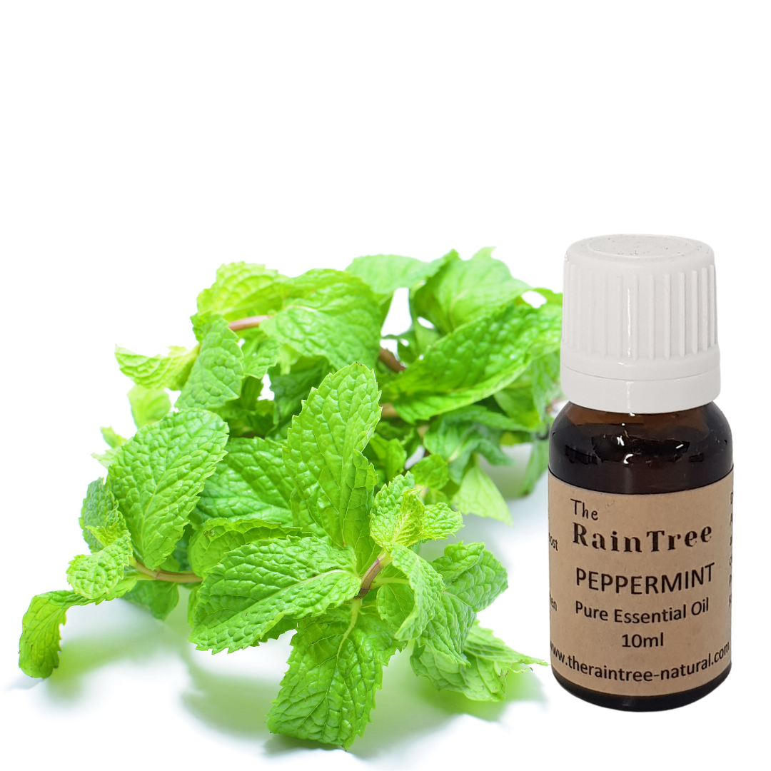 Peppermint Essential Oil The RainTree