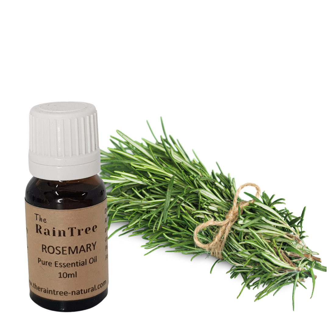 Rosemary Essential Oil The RainTree